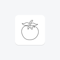 Ripe Tomato Plant, vector, pixel perfect, illustrator file