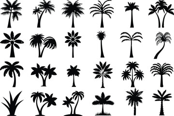 Diverse Palm Tree Silhouette Collection: Tropical and Artistic Designs