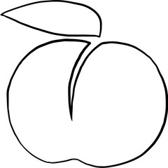 Lined Peach Organic Fruit Illustration