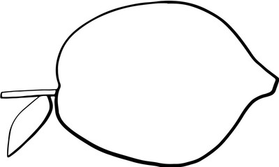 Lined Lemonade Organic Fruit Illustration