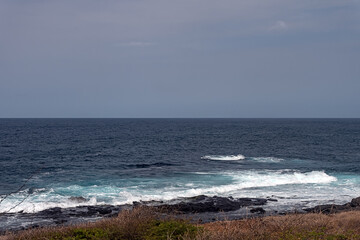 the beach and the sea