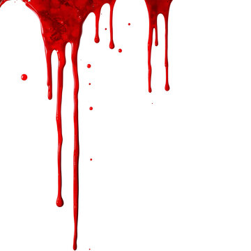Red blood or paint flowing down on transparent background. Halloween, murder and horror concept. Red ink splash, splatter and stain.