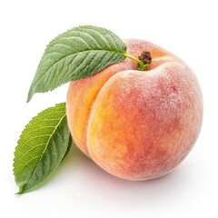 peach isolated on white
