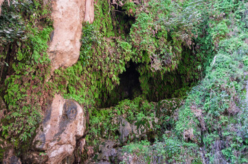 A rock with moss growing on it