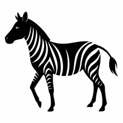 zebra vector illustration