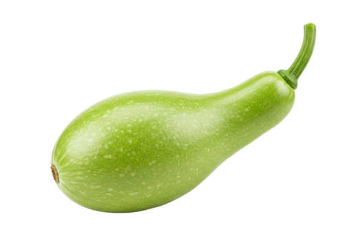Close up of a fresh green bottle gourd vegetable isolated on transparent background