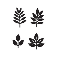 Leaf Icons Set - Minimalist Botanical and Nature Symbols

