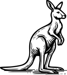 black and white engrave isolated kangaroo vector illustration