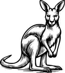 black and white engrave isolated kangaroo vector illustration