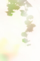 파스텔 톤의 다채로운 식물 그림자