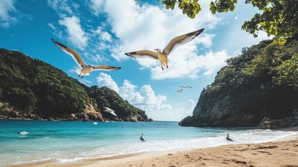 Fototapeta premium Seagulls flying tropical cove beach