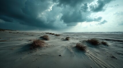 Stormy windswept sands coastal beach realistic photograph nature low angle dynamic atmosphere