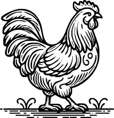 Chicken, hen, sketch. Vintage retro print, chicken, hen sketch ink pencil style drawing, engrave old school. Sketch artwork silhouette chicken, hen isolated on white background. Vector Illustration