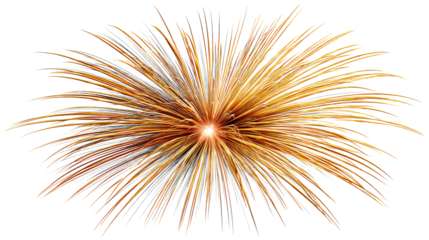 fireworks on black background