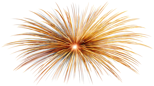 fireworks on black background