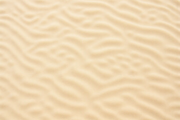 Obraz premium close up of a sand dune in the desert