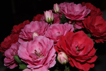 Fototapeta premium bunch of red flowers sitting on top of a table