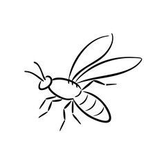 Termite with Wings Sketch Design  
