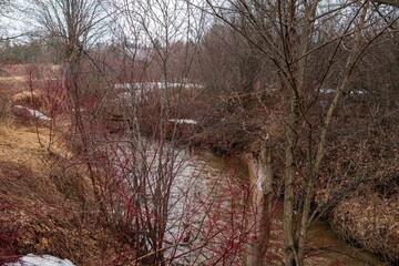 High water in a stream