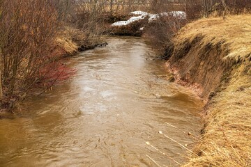 Flooded stream in the forest