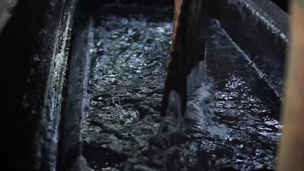 Fabric Dyeing Process with Immersion Technique in Containe