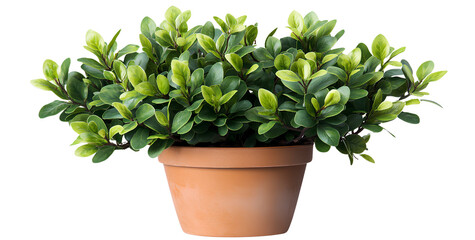 Obraz premium Moments captured in light,Graphics designed with soul, speaking emotions louder than words ever could 