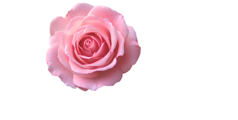 Moments captured in light,Graphics designed with soul, speaking emotions louder than words ever could