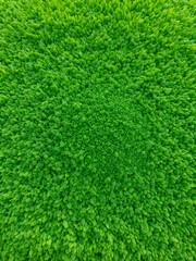 Green different shape chemical fertilizer granules under green leaf.