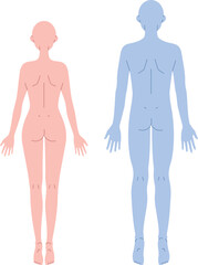 後ろ姿の男女のシンプルなヌードイラスト