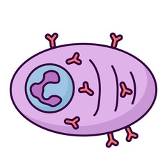 Plasma cell illustration