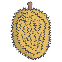 Durian Fruit