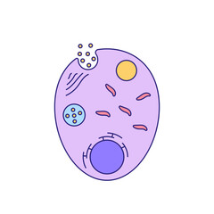 Plasmodium illustration
