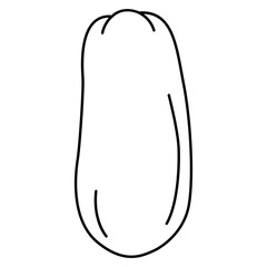 papaya Fruit