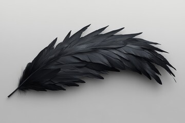 Strikingly dark feather displays intricate barbs.