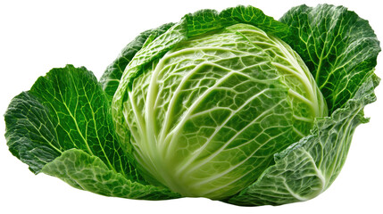 Fototapeta premium Fresh Green Cabbage: A close-up of a vibrant green cabbage, its leaves meticulously arranged, offering a peek into the world of fresh produce and culinary potential.