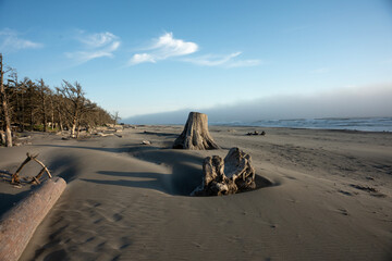 Cape Disappointment State Park