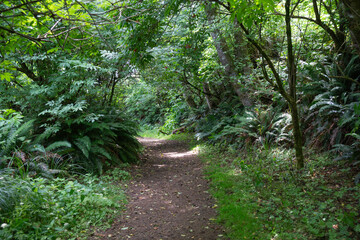Cape Disappointment State Park