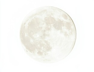 Full moon, light gray tone,  isolated