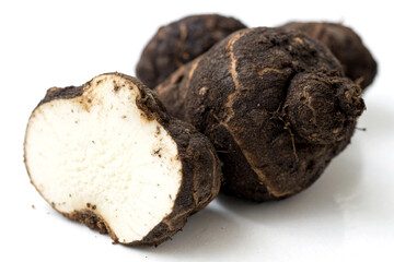 Kaempferia Parviflora Root Head on White Background &ndash; Thai Black Ginger