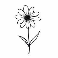Elegant Line Drawing of a Daisy Flower with Stem and Leaves on White Background