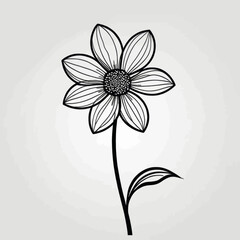 Elegant Black and White Floral Design Perfect for Invitations Cards and Decoration
