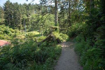 Cape Disappointment State Park