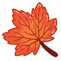 Obraz premium red maple leaf illustration