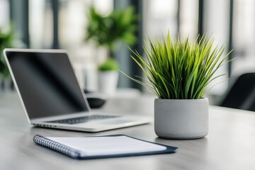 Modern office workspace with laptop, plant, and notepad