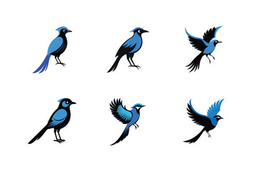 Blue-crowned Motmot bird, silhouette vector illustration