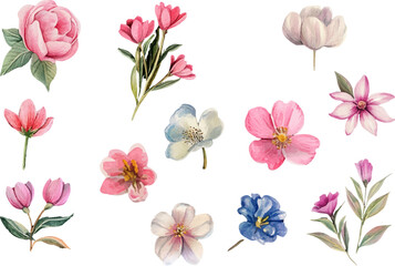 Fototapeta premium set of pink flowers