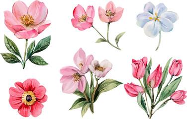 Fototapeta premium bouquet of flowers