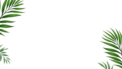 Vibrant green leaves on a black background.