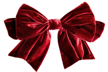 A rich deep red velvet bow is the focus with its soft texture and elegant form