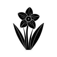 Daffodil Silhouette vector illustration